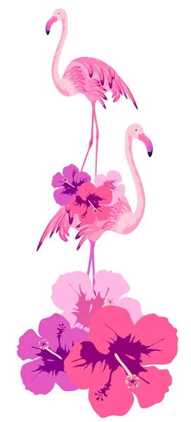 Rosa Flamingos Mit Blüten Isoliert Auf Weißem Hintergrund — Stockvektor