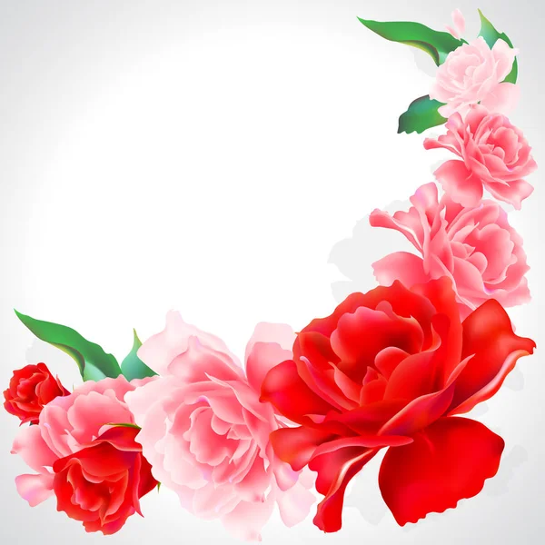 Helle Rosa Rosen Isoliert Auf Weißem Hintergrund — Stockvektor