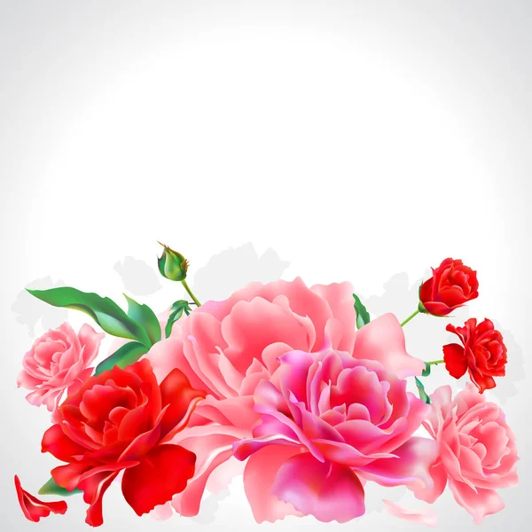 Roses Roses Lumineuses Isolées Sur Fond Blanc — Image vectorielle