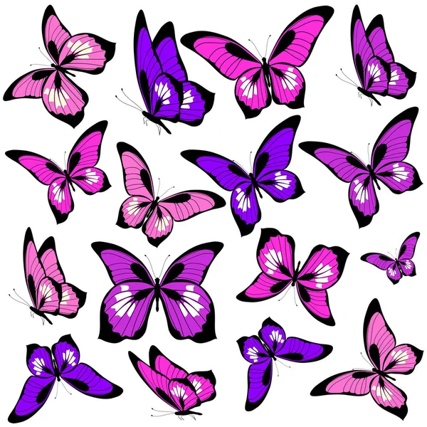 Luminose Farfalle Rosa Colorate Isolate Sfondo Bianco — Foto Stock