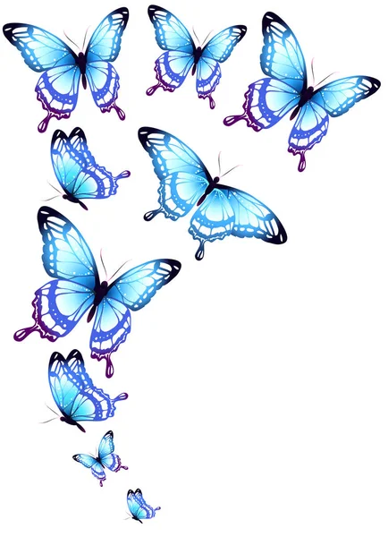 Mavi Kelebekler Beyaz Arka Planda Izole Edilmiş — Stok fotoğraf