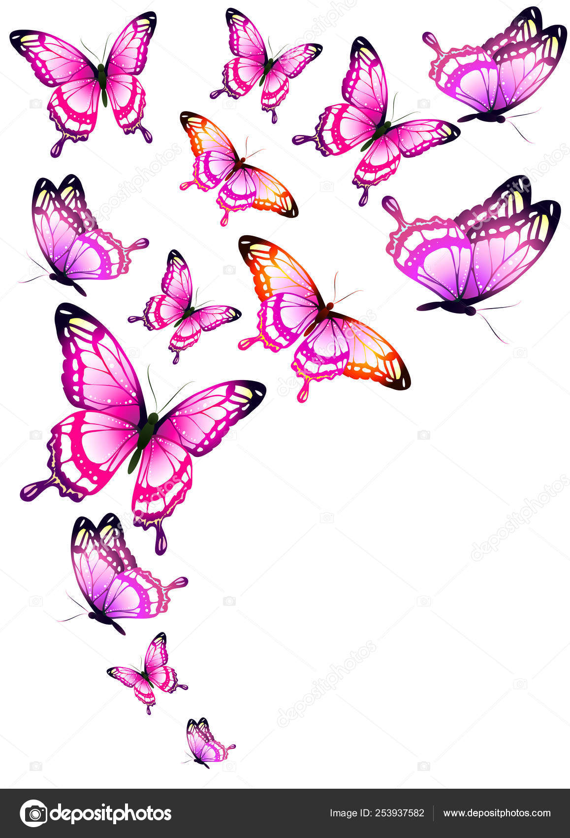 Image vectorielle Papillons Roses Colorés Lumineux Isolés Sur Fond Blanc  par ©aboard - 253937582, image size:1158x1700