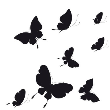 siyah beyaz arka plan üzerinde izole kelebekler silüeti