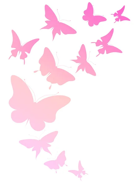 Bright Colorful Pink Butterflies Isolated White Background — Stock Photo, Image