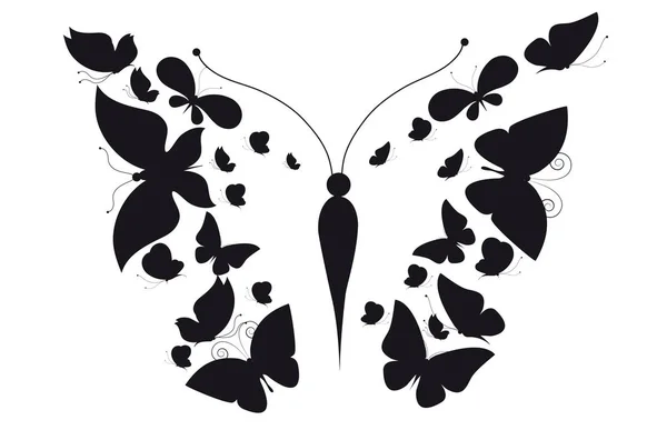 Schwarze Silhouette Von Schmetterlingen Isoliert Auf Weißem Hintergrund — Stockfoto