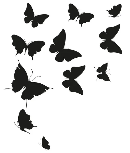 Silhouette Noire Papillons Isolés Sur Fond Blanc — Photo