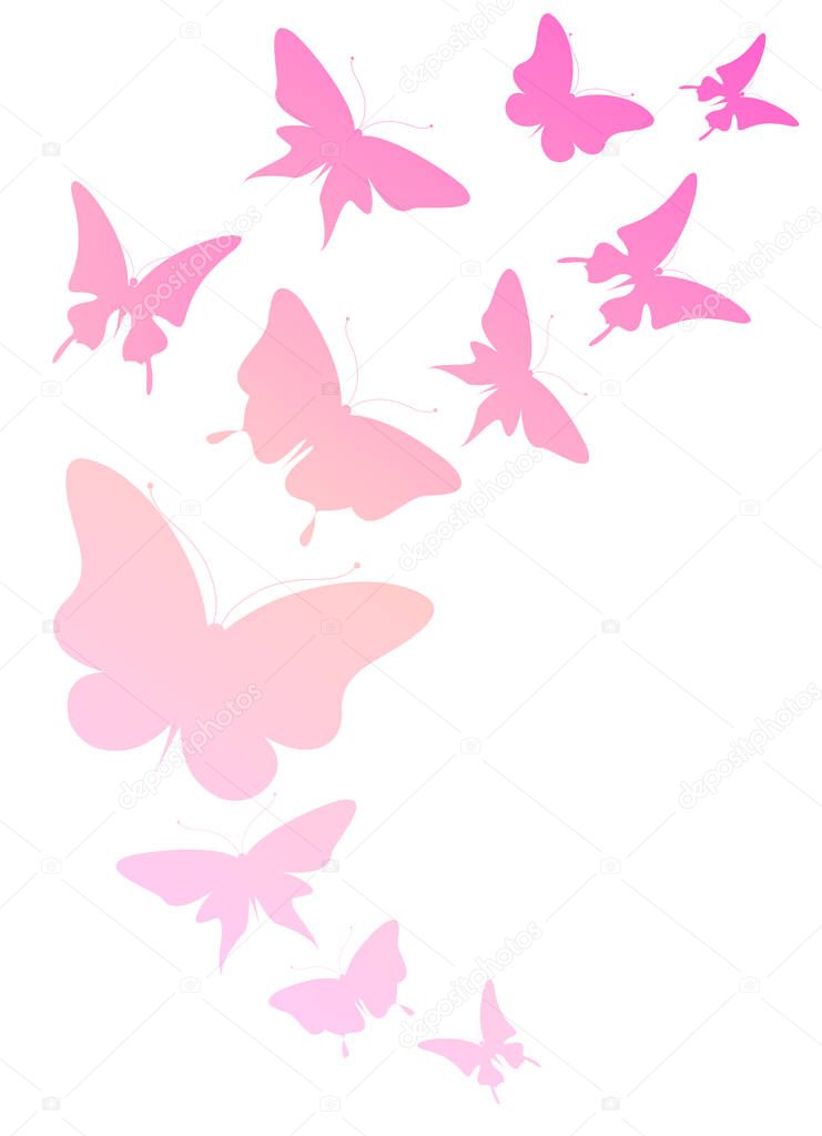 Bright colorful pink butterflies isolated on white background