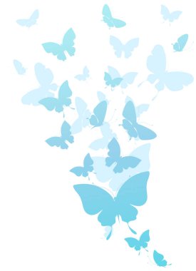 Mavi kelebekler beyaz arka planda izole edilmiş