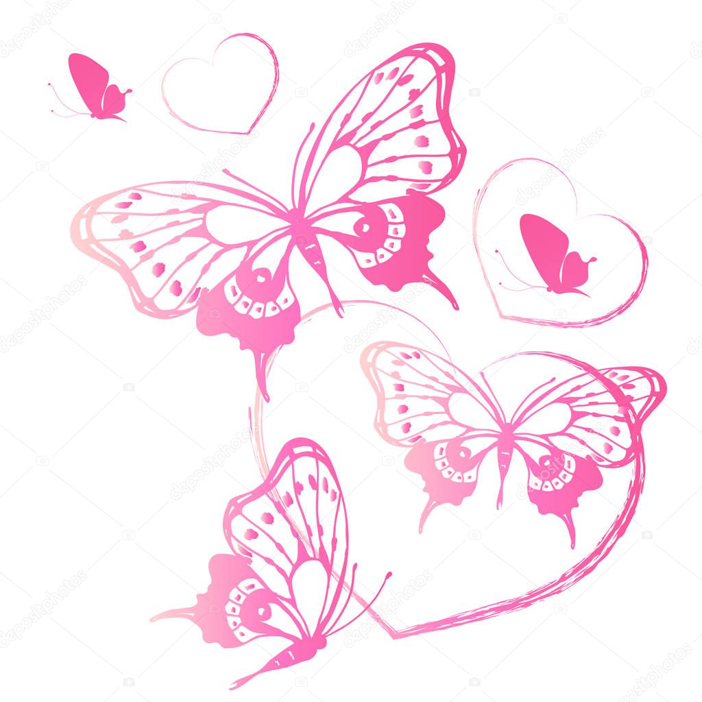 Bright colorful pink butterflies isolated on white background