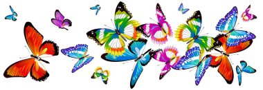 Beyaz arka plan üzerinde izole parlak renkli kelebekler dizi