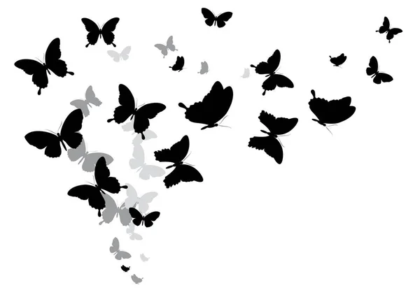 Чорний Силует Метеликів Ізольований Білому Тлі — стокове фото