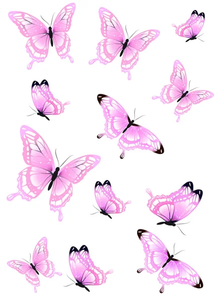 Beyaz Arka Plan Üzerinde Izole Parlak Renkli Pembe Kelebekler — Stok fotoğraf
