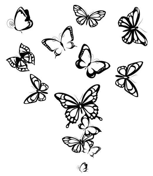 Schwarze Silhouette Von Schmetterlingen Isoliert Auf Weißem Hintergrund — Stockfoto