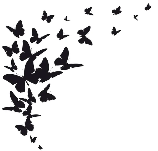 Silhouette Noire Papillons Isolés Sur Fond Blanc — Image vectorielle