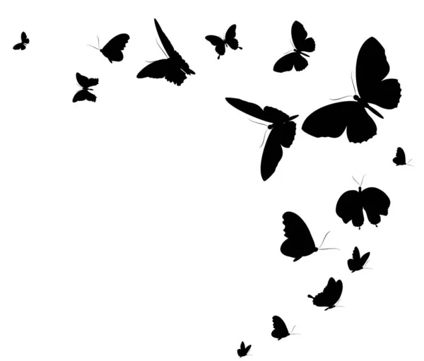 Siyah Beyaz Arka Plan Üzerinde Izole Kelebekler Silüeti — Stok Vektör
