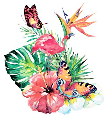 Beyaz arka planda el çizilmiş suluboya tropikal çiçekler ve kelebekler 