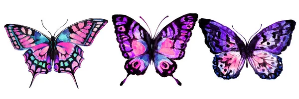 Set Farfalle Acquerello Disegnate Mano Sfondo Bianco — Foto Stock