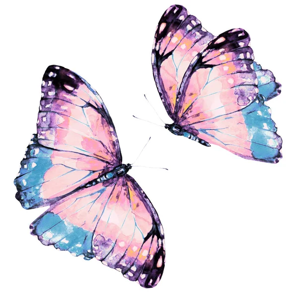 Set Handgezeichneter Aquarell Schmetterlinge Auf Weißem Hintergrund — Stockfoto