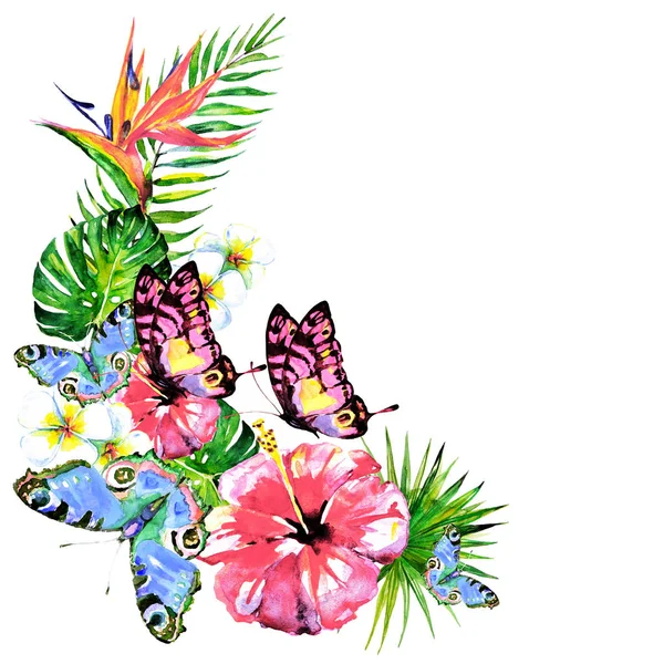 白い背景に手描き水彩の熱帯の花や蝶 — ストック写真