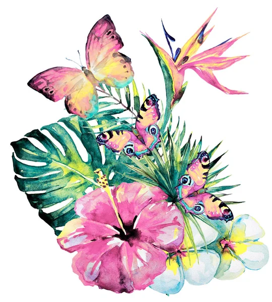 Handgezeichnete Aquarelle Tropischer Blumen Und Schmetterlinge Auf Weißem Hintergrund — Stockfoto