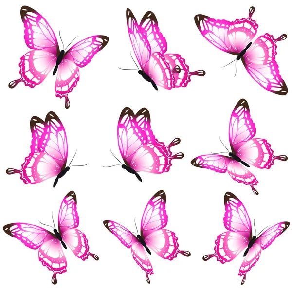 Bright Colorful Pink Butterflies Isolated White Background — Stock Vector