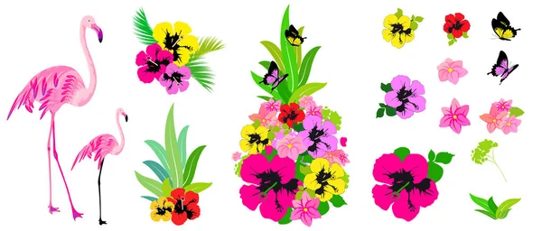 Pop Artové Havajské Květy Motýli Bílém Pozadí — Stock fotografie