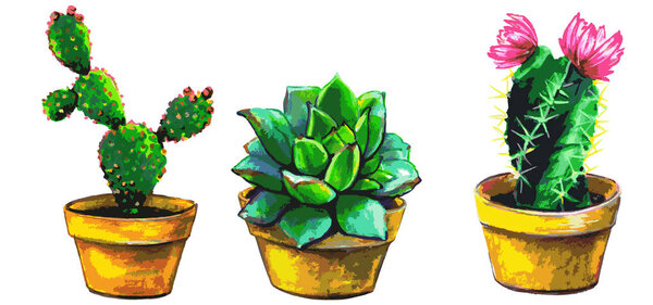 Set of watercolor cactuses on white background 