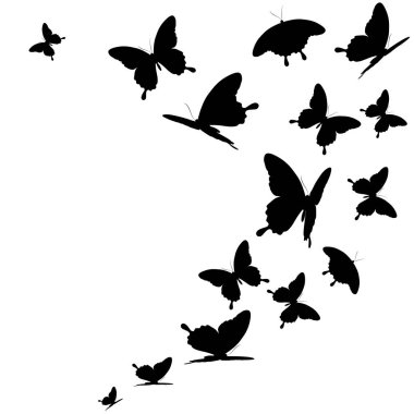 siyah beyaz arka plan üzerinde izole kelebekler silüeti