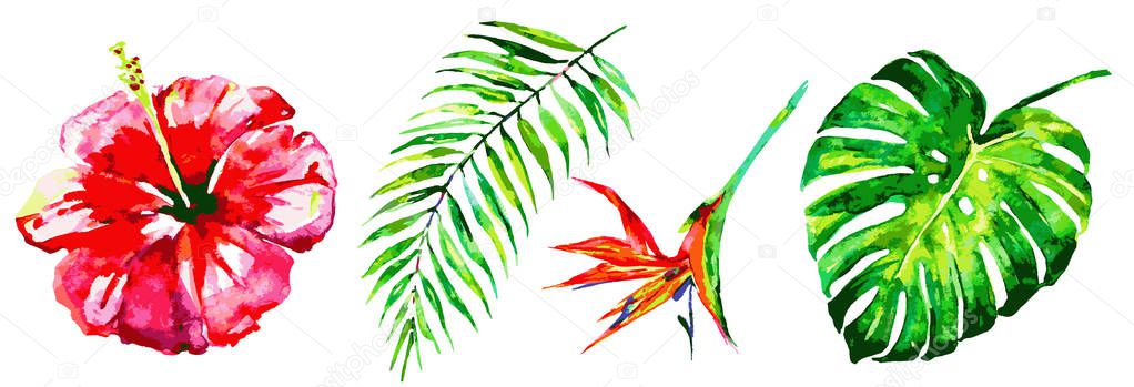 Set of watercolor hawaiian flowers and palm leaves on white background 