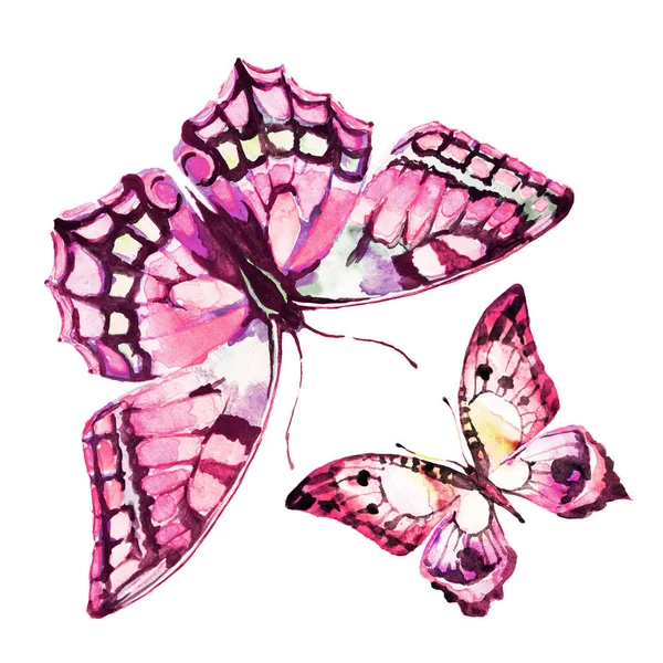 Set Handgezeichneter Aquarell Schmetterlinge Auf Weißem Hintergrund — Stockfoto
