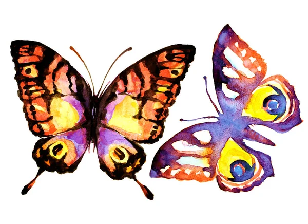 Набір Ручних Акварельних Метеликів Білому Тлі — стокове фото