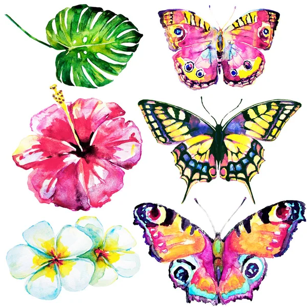 Hand drawn watercolor tropical flowers and butterflies on white background