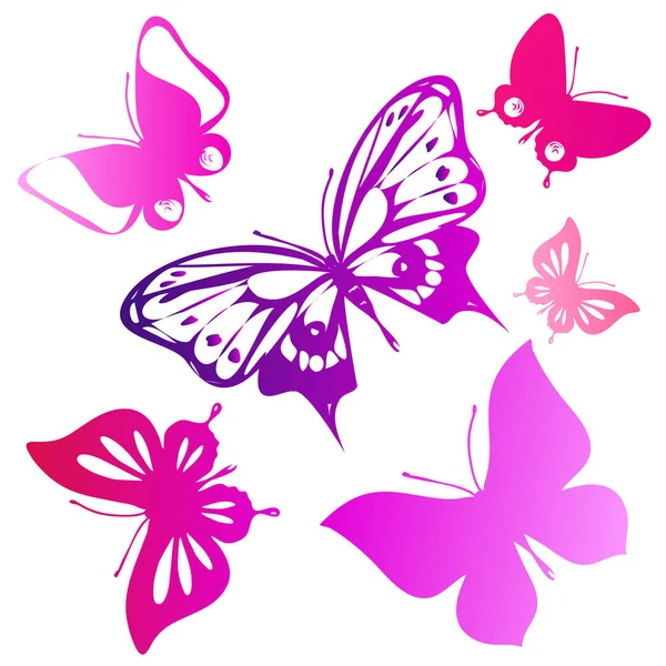 Bright Colorful Pink Butterflies Isolated White Background — Stock Photo, Image