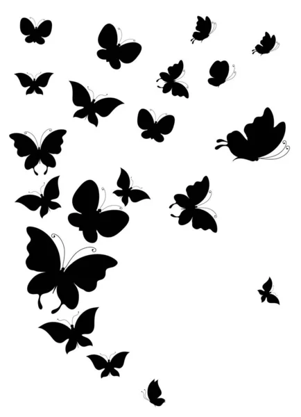 Silhouette Noire Papillons Isolés Sur Fond Blanc — Photo