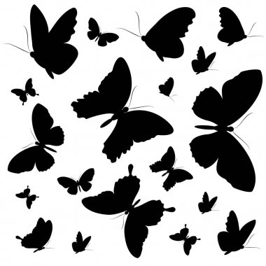 siyah beyaz arka plan üzerinde izole kelebekler silüeti