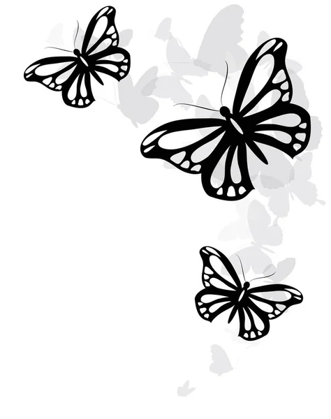 Black Silhouette Butterflies Isolated White Background — Stock Photo, Image