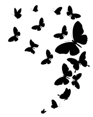 siyah beyaz arka plan üzerinde izole kelebekler silüeti