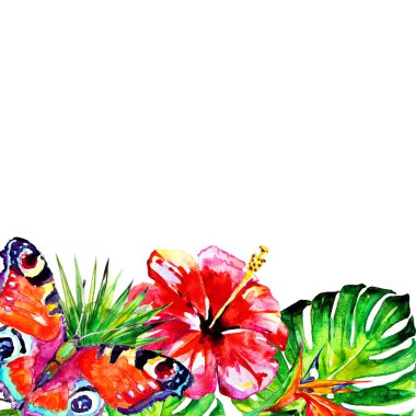 Beyaz arka planda el çizilmiş suluboya tropikal çiçekler ve kelebekler 
