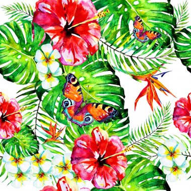 Beyaz arka planda el çizilmiş suluboya tropikal çiçekler ve kelebekler 