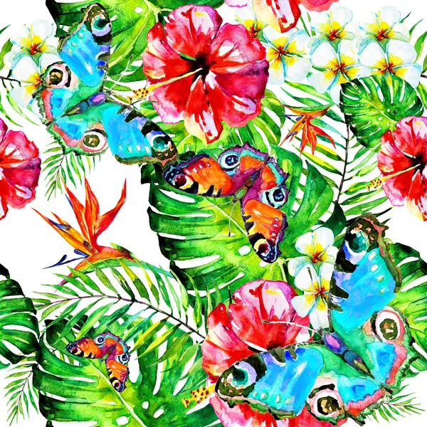 Kézzel Rajzolt Akvarell Trópusi Virágok Pillangók Fehér Háttér — Stock Fotó
