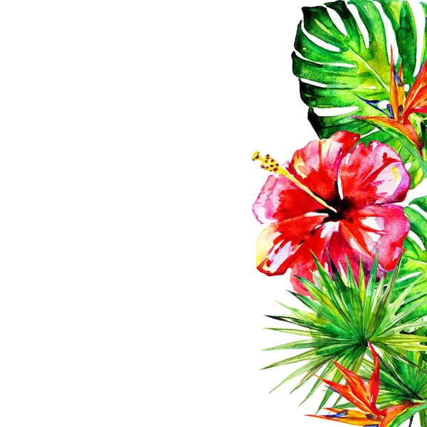 白い背景に手描き水彩熱帯の花 — ストック写真