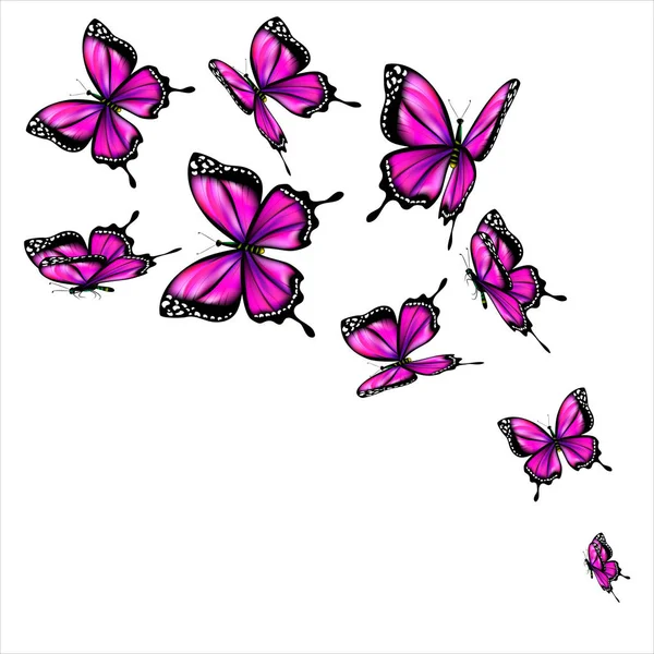 Яскраві Барвисті Рожеві Метелики Ізольовані Білому Тлі — стокове фото