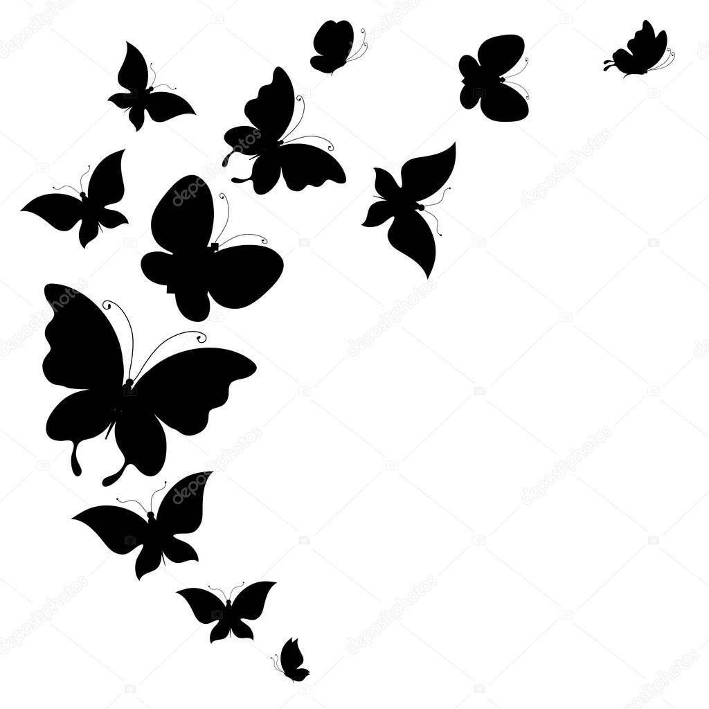 black silhouette of butterflies isolated on white background