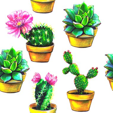 beyaz arka plan üzerinde izole etli kaktüsler kümesi