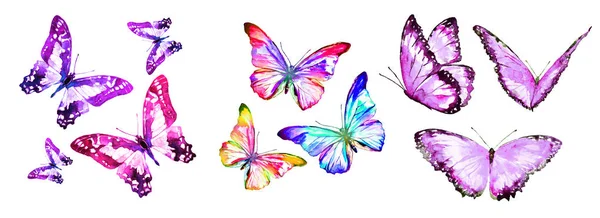Světlé Barevné Růžový Motýli Izolovaných Bílém Pozadí — Stock fotografie