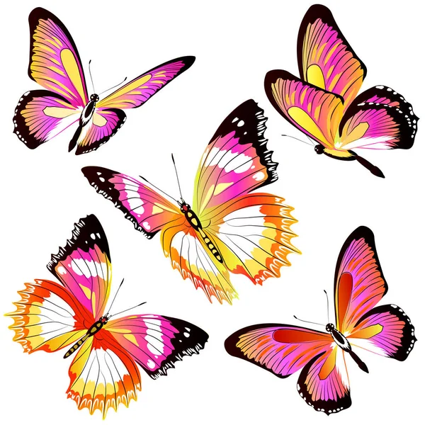 Набор Ярких Красочных Бабочек Белом Фоне — стоковый вектор