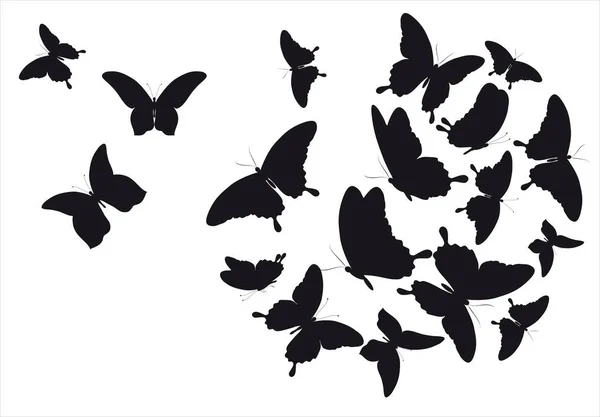 Silueta Negra Mariposas Aisladas Sobre Fondo Blanco — Archivo Imágenes Vectoriales