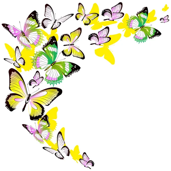 Set Von Hellen Bunten Schmetterlingen Isoliert Auf Weißem Hintergrund — Stockvektor