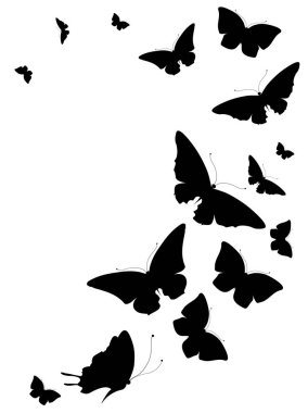 siyah beyaz arka plan üzerinde izole kelebekler silüeti