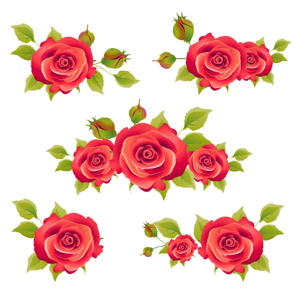 Rosas Rojas Brillantes Aisladas Sobre Fondo Blanco — Foto de Stock